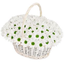 Bouquet of chrysanthemums in a basket 