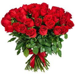 50 red roses 