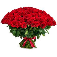 Bouquet of 100 red roses 