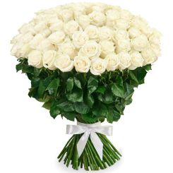 Букет из 101 белой розы 