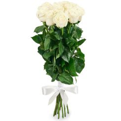 Bouquet of 12 white roses 