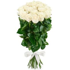 18 white roses in the bouquet 