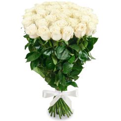 Bouquet of 36 white roses 