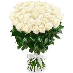 50 white roses 