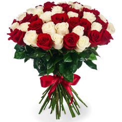 Red and white roses in a 