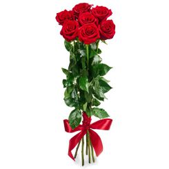 Bouquet of red roses 