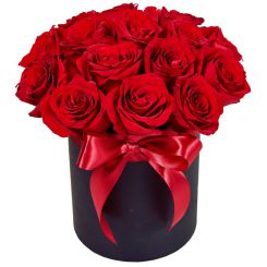 Red roses in a box 