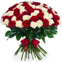 100 red and white roses in 