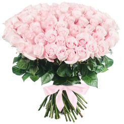 Bouquet of 100 pink roses 