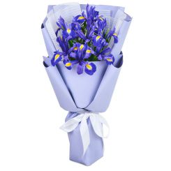 Bouquet of irises 