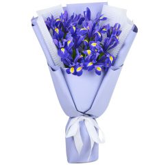 Bouquet of irises 